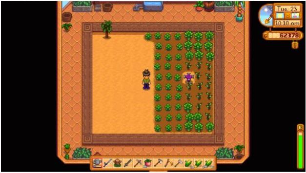 The player character stands next to a collection of green vegetables in a virtual greenhouse in Stardew Valley. 